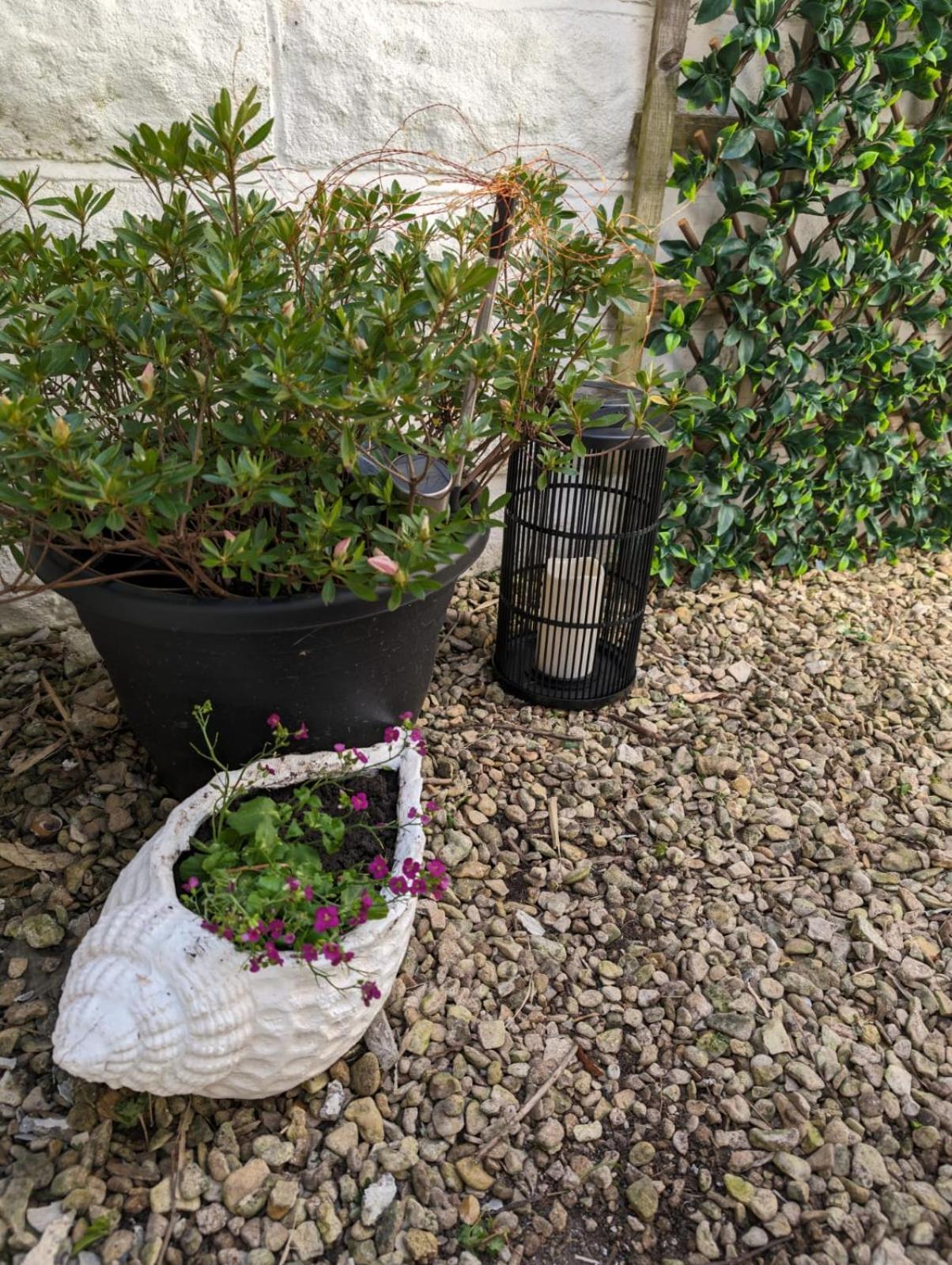 Coastal Penarth Dream! Close To Superb Location Near Bars And Restaurants! Dog Friendly And Welcome Breakfast Pack! Apartamento *